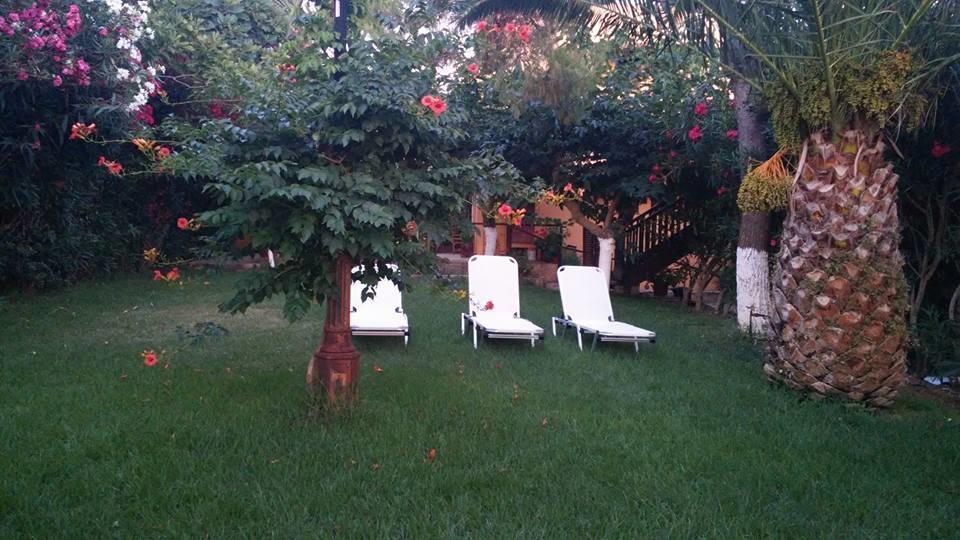 Dionisis Apartments Kounopetra Zewnętrze zdjęcie